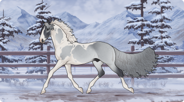 Thumbnail for 10677 LPH Silver Sun's Ballad