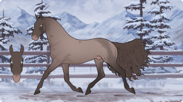 Thumbnail for 10678 Walking Vetbill
