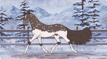 Thumbnail image for 10691