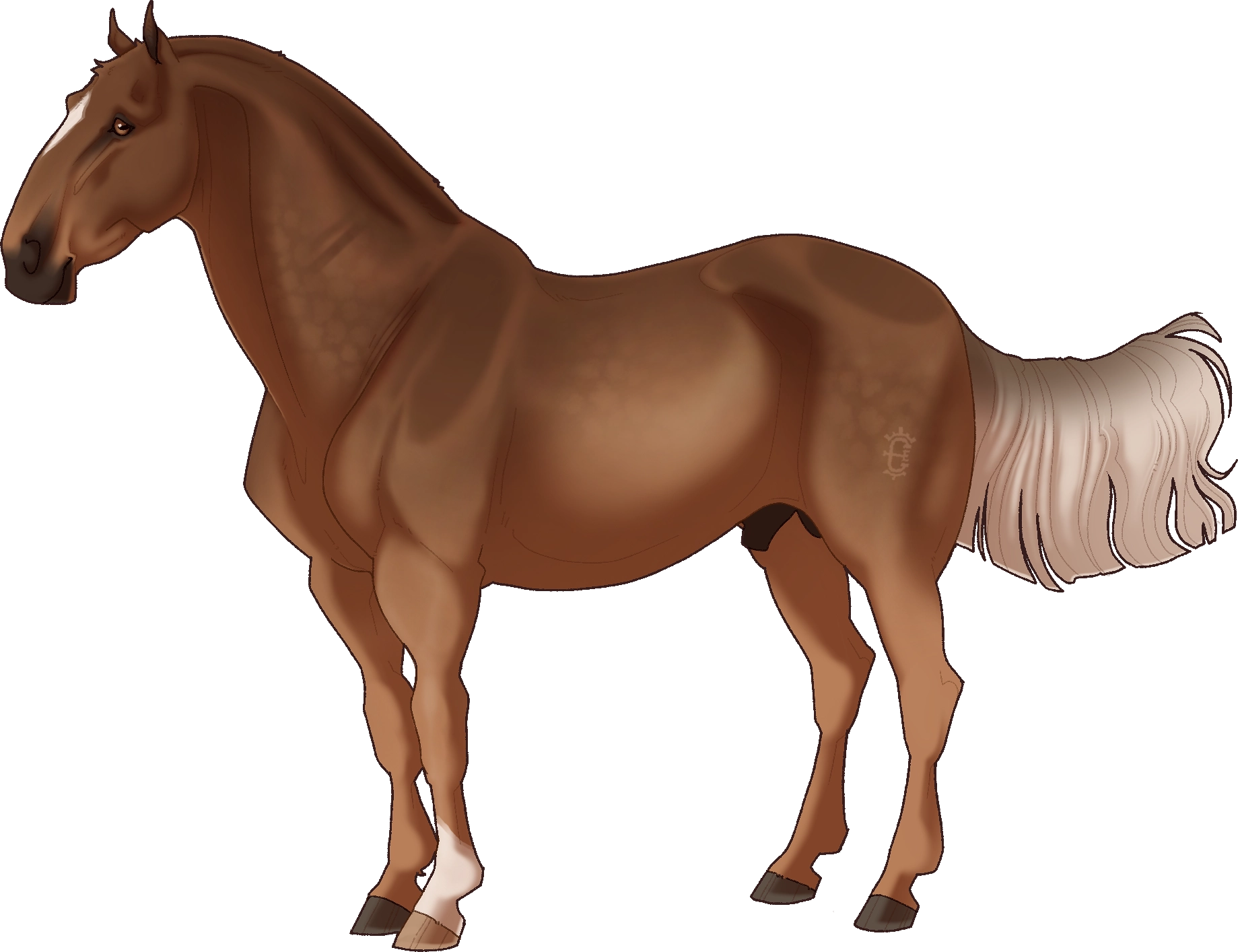 10551 Castle's Lorenzo