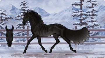 Thumbnail for 5315 WT Death is a Wild Hound