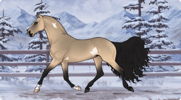 Thumbnail for 1447 LH Primavera