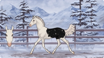 Thumbnail for 1595 Stars On Ice