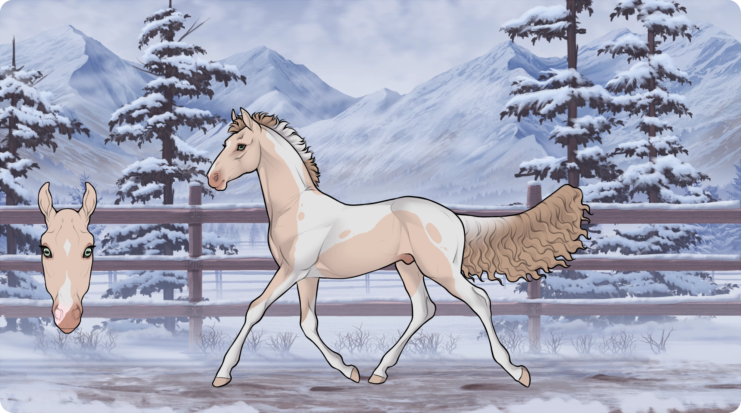 1721 MP Knock em Died