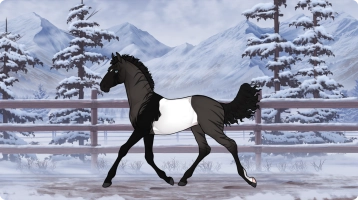 Thumbnail of 1640 BOE Moon Empress
