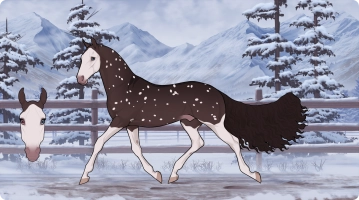 Thumbnail for 1829 Crown Rose