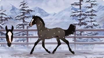 Thumbnail of 2165 Cri-Cri