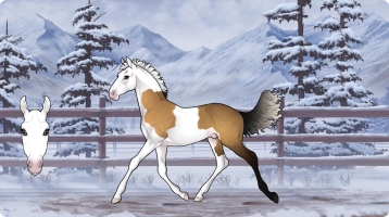 Thumbnail for 1933 SVS Over the Moon's Elegance