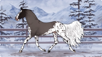 Thumbnail for 1957 PF Stracciatella