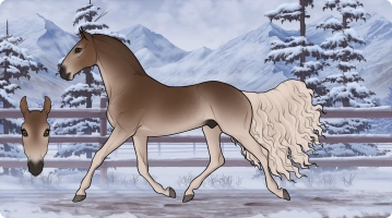 Thumbnail for 2210 Lakeside's Sundog