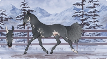 4142 Winter Solstice Thumbnail