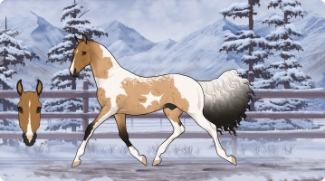 Thumbnail for 4162 SR Through Fortune and Fame