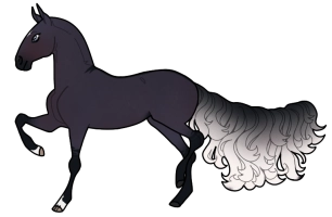 Thumbnail for 6529 BOE Blackberry Sangria