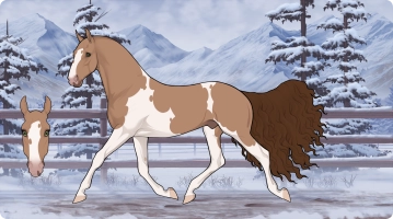 Thumbnail image for 6572 Talk Of The Valley