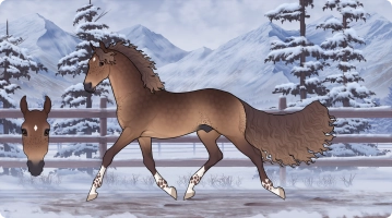Thumbnail of 6653 Juniper