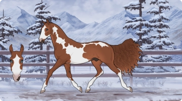 Thumbnail for 6662 Cactus Juice