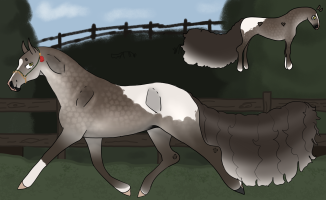 Thumbnail for 10285 SCE Last Words Of A Shooting Star