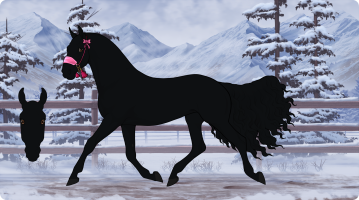 Thumbnail for 10719 A Pawful Of Smiles