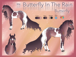 9114 Butterfly In The Rain