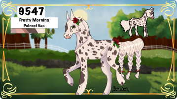 Thumbnail for 9547 Frosty Morning Poinsettias