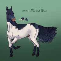 Thumbnail for 10196 Bluebird Wine
