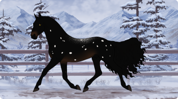 Thumbnail of 10778