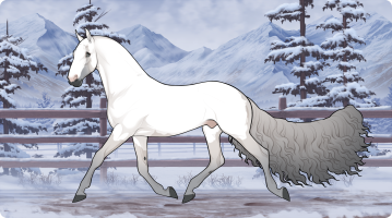 Thumbnail for 10794 SS White Mountain Ash