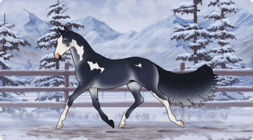 Thumbnail for 10801 Luna Lights