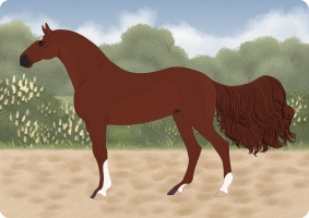 Thumbnail for 3113 SS Tempered Chocolate