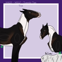 Thumbnail for 10825 MSLF Tuxedo Tax