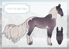 Thumbnail for 10124 LMC Until The Dawn