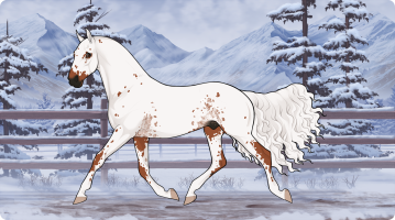 Thumbnail for 10835 DAR Freckles Gossip