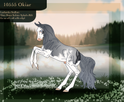 10555 Okiar