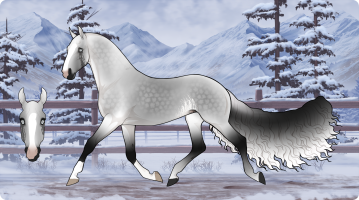 Thumbnail for 10862 Periwinkle