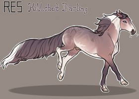 Thumbnail of 9702 RES Killshot Darling