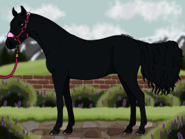 Thumbnail for 10719 A Pawful Of Smiles