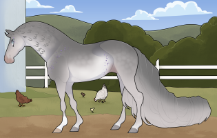 Thumbnail for 10863 BE Lavender Orpington