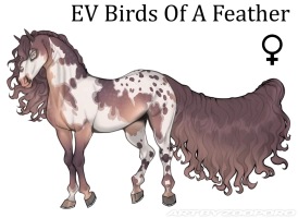 Thumbnail for 5925 EV Birds Of A Feather