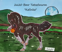 Thumbnail image for 2620 Bmr Tatzelwurm