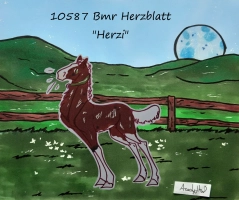Thumbnail for 10587 Bmr Herzblatt