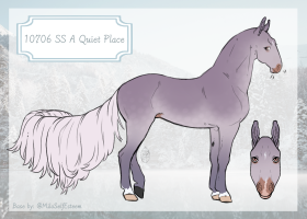 Thumbnail for 10706 SS A Quiet Place