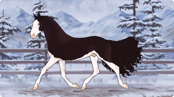 Thumbnail for 10912 PPC Double Delight