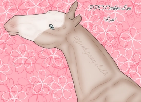 Thumbnail image for 10752 PPC Caribou Lou