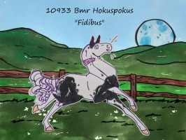 Thumbnail for 10933 Bmr Hokuspokus