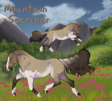 Thumbnail for 9603 Mountain Searcher