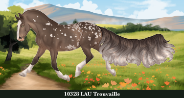 Thumbnail of 10328 LAU Trouvaille