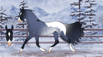 Thumbnail of 11021
