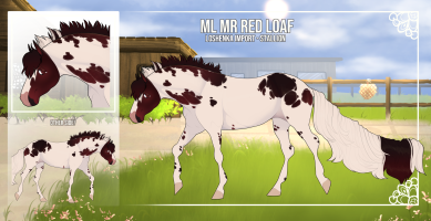 Thumbnail of 10341 ML Mr Red Loaf