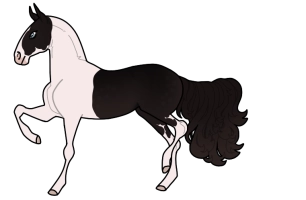 Thumbnail image for 11113