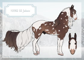 Thumbnail of 10582 SS Jalisco
